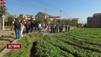 市农业农村局召开2022年油菜轮作和油菜生产现场推进会