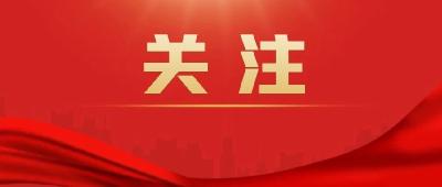 逐章逐条学条例 | 学习《中国共产党纪律处分条例》（十三）  