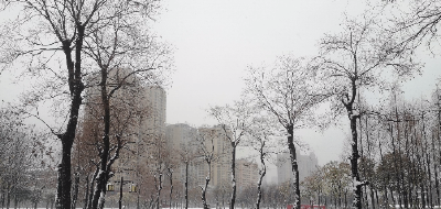 小年逢初雪 武穴迎来2023年第一场雪