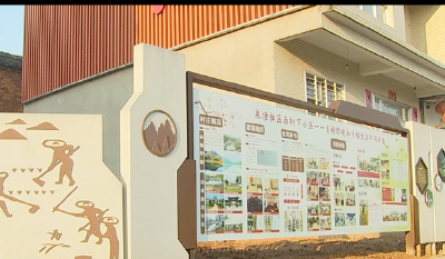 全市美好环境与幸福生活共同缔造暨党建引领乡村振兴示范创建现场推进会召开