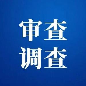 武穴市自然资源和规划局党组成员、副总督察张晓接受审查调查 