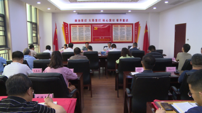 我市召开端午节传统龙舟赛活动总结复盘会议  