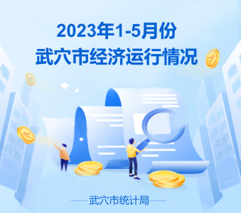 2023年1-5月份武穴市经济运行情况 