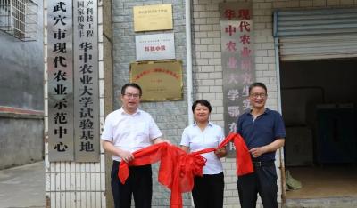 又一“国字号”落户武穴  