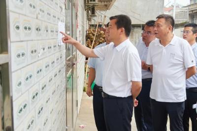 胡昊调研龙舟赛安全、小流域综合治理和地质灾害防治工作  