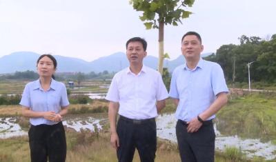 【城镇管理百日攻坚】上下联动，多措并举，武穴掀起美丽城乡建设新热潮（五十五 ）  