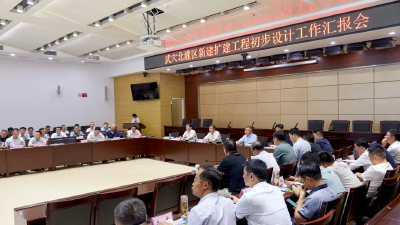 我市召开北灌区新建扩建工程初步设计工作汇报会  