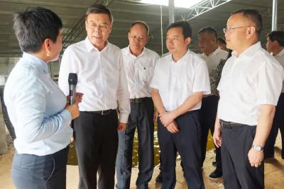 副省长吴海涛来武穴调研  