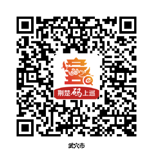 巡 视 公 告 