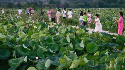醉了！武穴的这处“花花世界”！  