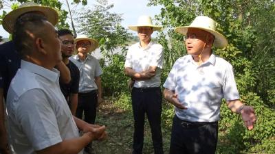 查俊调研湖北省智能化新能源船舶产业园建设和长江禁捕工作  