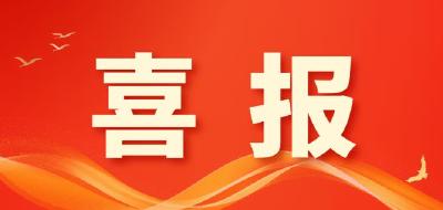 喜报！武穴13个作品获奖→  