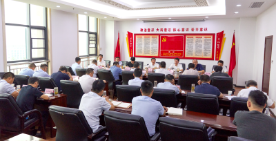 如何推进“四区联动”城市更新行动？胡昊强调“六个坚持”......  