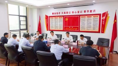 如何以供应链思维改造提升绿色建材产业？胡昊这样说……  