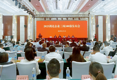 祥云股份荣获湖北企业双百强  