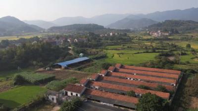 退役不褪色建功新时代 | 吴凯：回乡创业变身养牛“尖兵”  