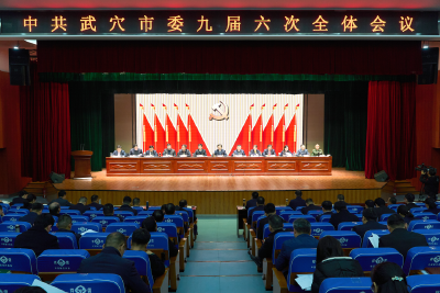 中共武穴市委九届六次全体会议举行 