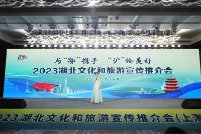 上海、南京两场推介会，武穴传统艾香制作技艺凭实力火出圈 