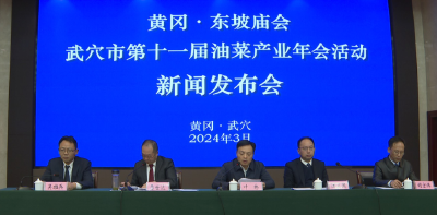 黄冈·东坡庙会武穴市第十一届油菜产业年会举行新闻发布会  