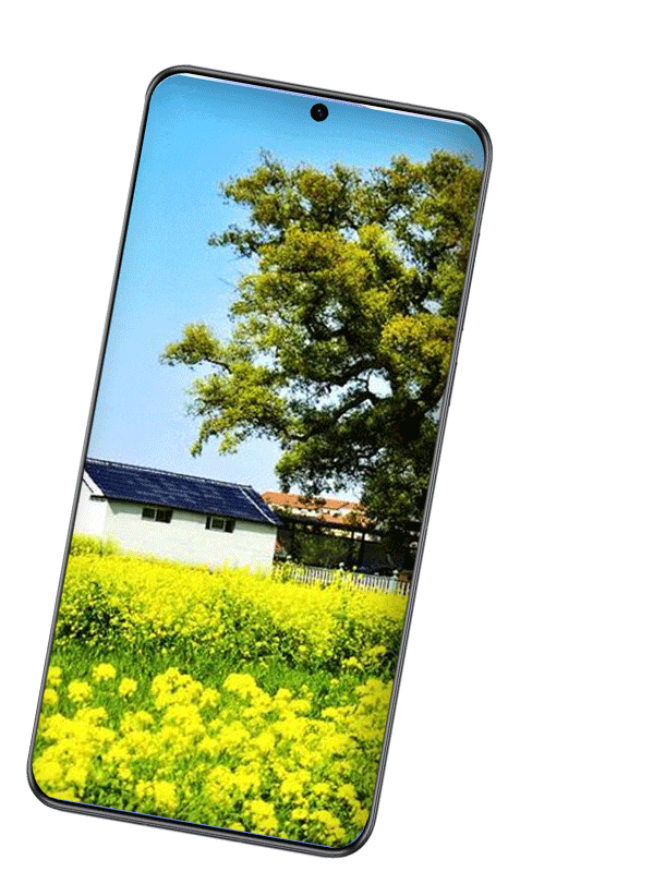 赏花海～拍照片～赢大奖！说不准，你的照片有可能成为霸屏壁纸呢🤩🤩🤩  