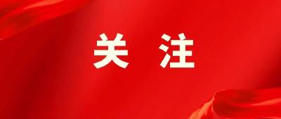 武穴4个村上榜！湖北省2024年度美丽乡村名单公布 
