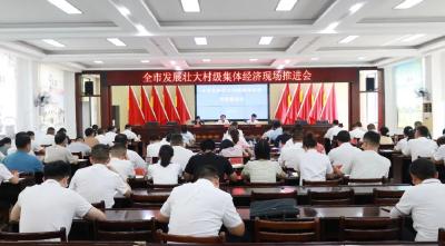 全市发展壮大村级集体经济现场推进会召开 