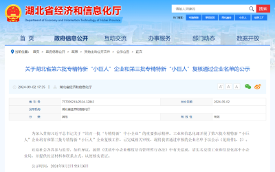 国家级！武穴一家企业上榜 