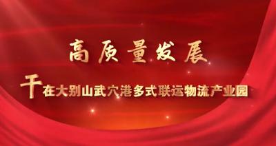 高质量发展 干在大别山武穴港多式联运物流产业园 | 党旗在征迁一线飘扬
