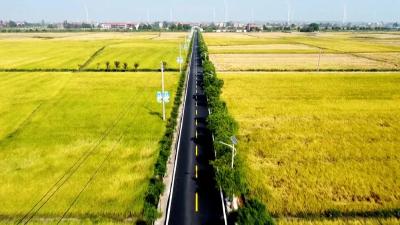 2024年武穴前三季度GDP，7.0%↑  