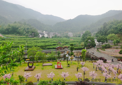 余川镇通天河村：破茧蜕变，农文旅融合绘就乡村振兴新画卷  