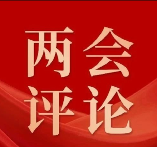 【聚焦两会】评论：当好排头兵 奋进新征程