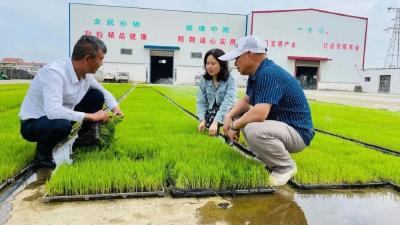 2024中国农民合作社500强，武穴一家！ 