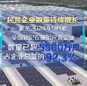 联播观察｜民营经济发展前景广阔大有可为