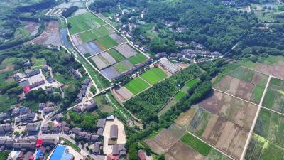 新春走基层·见证｜橙农的“百万”级收支账单