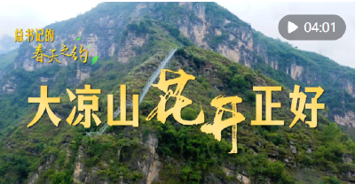 总书记的春天之约｜大凉山花开正好