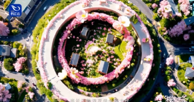 相约春天赏樱花丨看！花都为你开好了！