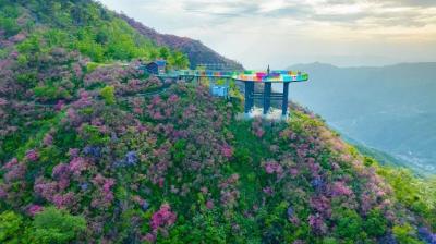 如何将文旅培育成战略性支柱产业？看黄冈花式“出招”  