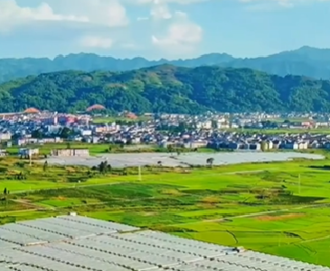 壹视界·任仲平文章解读｜党的作风关系人心向背