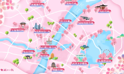 走！跟着武汉顶流明星去赏樱