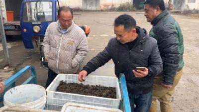 万丈湖街道：小龙虾销售迎来“开门红”