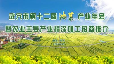直播丨中国油菜看湖北 春来武穴看花海