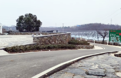 “小香菇”撬动“大产业”！广水这个村的致富密码  