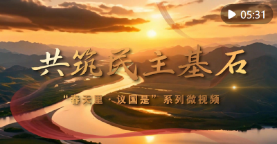 春天里·议国是｜共筑民主基石