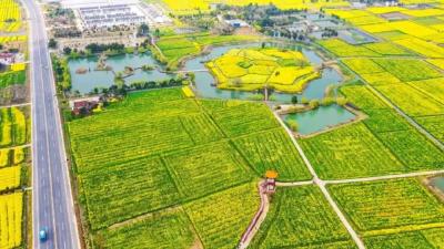 荆门，小小“一粒籽”趟出金色路