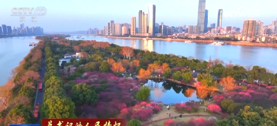 【总书记的人民情怀】绿水青山间的幸福