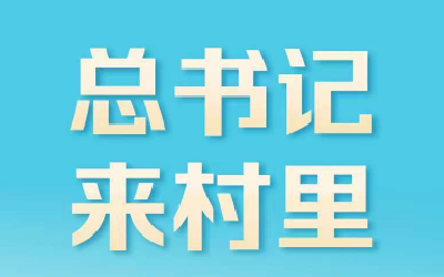 学习时节｜总书记来村里