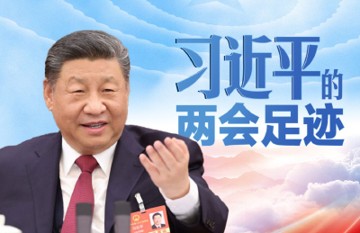 习言道丨习近平的两会足迹
