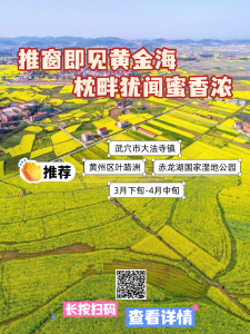 梅花只是开场！1张车票解锁黄冈6大绝色花潮