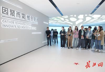 随总书记的脚步看武汉科技创新，“科创之树”下，11粒种子已萌芽