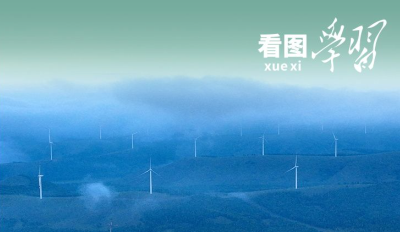 看图学习丨从“焦桐”到“谷树” 总书记强调生态文明建设靠物质也靠精神